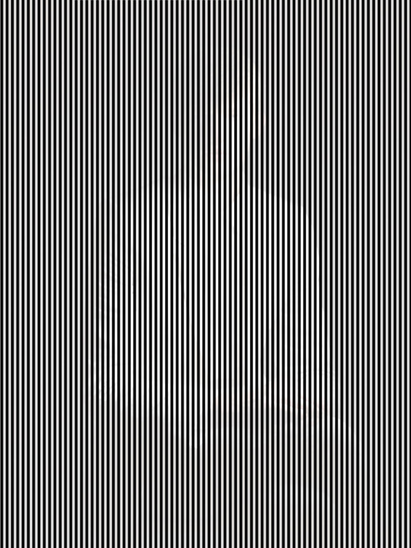 Hidden-Image-Optical-Illusion